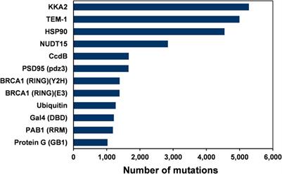 Prediction of Function Determining and Buried Residues Through Analysis of Saturation Mutagenesis Datasets